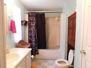 4308 Orchid Ln, Harrison, AR 72601 photo 12
