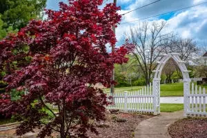502 N Willow St, Harrison, AR 72601 photo 27