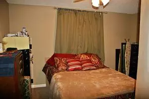 218 Wren St, Harrison, AR 72601 photo 12