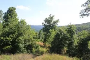 590 Libby Ln, Dennard, AR 72629 photo 25