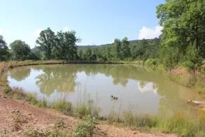 590 Libby Ln, Dennard, AR 72629 photo 31
