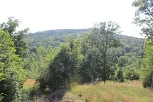 590 Libby Ln, Dennard, AR 72629 photo 26