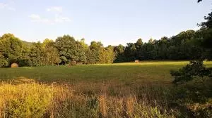 7497 Terrapin Rd, Harrison, AR 72601 photo 6