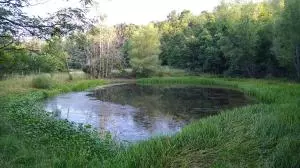 7497 Terrapin Rd, Harrison, AR 72601 photo 5