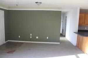 5 Rushing Ridge Rd, Harrison, AR 72601 photo 4