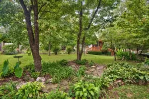 723 W College Ave, Harrison, AR 72601 photo 25