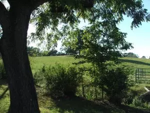 808 Tennyson Loop, Harrison, AR 72601 photo 2