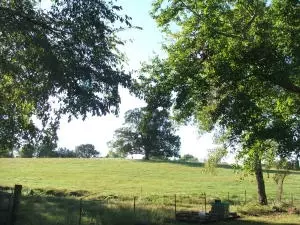 808 Tennyson Loop, Harrison, AR 72601 photo 11