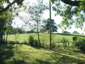 808 Tennyson Loop, Harrison, AR 72601 photo 10