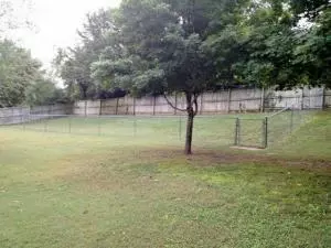 1306 Windsor Dr, Harrison, AR 72601 photo 14