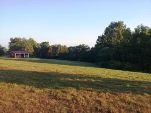 7837 N Hunter Dr, Harrison, AR 72601 photo 11