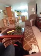 7837 N Hunter Dr, Harrison, AR 72601 photo 27