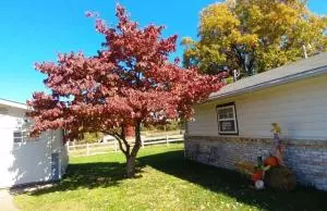 7837 N Hunter Dr, Harrison, AR 72601 photo 30