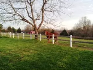 7837 N Hunter Dr, Harrison, AR 72601 photo 10