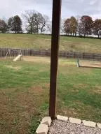 6472 Mindy Ln, Harrison, AR 72601 photo 69