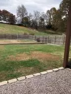 6472 Mindy Ln, Harrison, AR 72601 photo 68