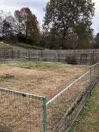 6472 Mindy Ln, Harrison, AR 72601 photo 72