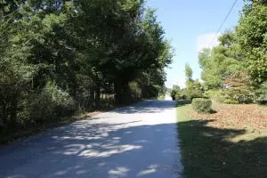 3219 Campground Rd, Harrison, AR 72601 photo 18