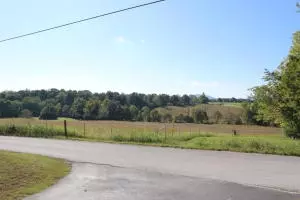 3219 Campground Rd, Harrison, AR 72601 photo 19