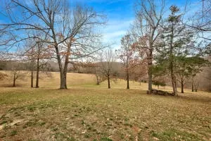1024 N Jean Ln, Harrison, AR 72601 photo 27