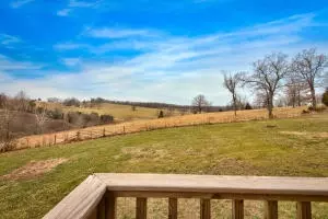 1024 N Jean Ln, Harrison, AR 72601 photo 28