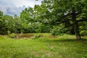 6623 Memory Ln, Harrison, AR 72601 photo 17