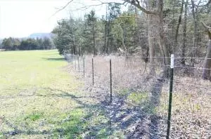 235 Bell Rd, Marshall, AR 72650 photo 17