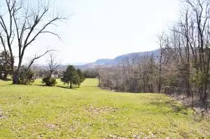 235 Bell Rd, Marshall, AR 72650 photo 16