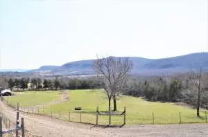 235 Bell Rd, Marshall, AR 72650 photo 24