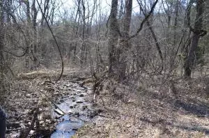 235 Bell Rd, Marshall, AR 72650 photo 34