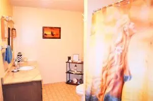 235 Bell Rd, Marshall, AR 72650 photo 15