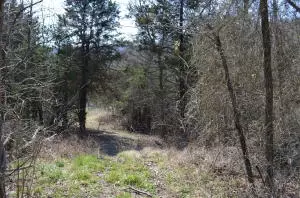 235 Bell Rd, Marshall, AR 72650 photo 32
