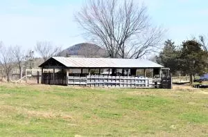 235 Bell Rd, Marshall, AR 72650 photo 18
