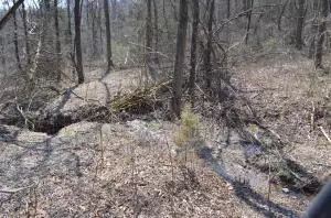 235 Bell Rd, Marshall, AR 72650 photo 35