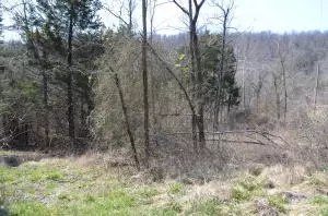 235 Bell Rd, Marshall, AR 72650 photo 36