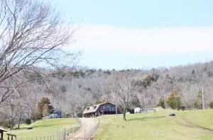 235 Bell Rd, Marshall, AR 72650 photo 30