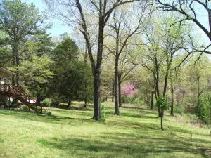 1881 May Ln, Harrison, AR 72601 photo 35