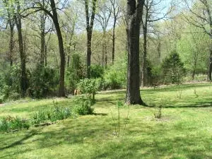 1881 May Ln, Harrison, AR 72601 photo 34