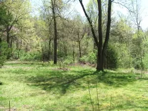 1881 May Ln, Harrison, AR 72601 photo 31