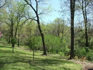 1881 May Ln, Harrison, AR 72601 photo 36