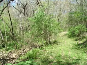 1881 May Ln, Harrison, AR 72601 photo 40
