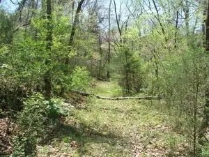 1881 May Ln, Harrison, AR 72601 photo 39