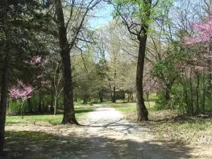 1881 May Ln, Harrison, AR 72601 photo 1