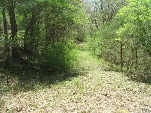 1881 May Ln, Harrison, AR 72601 photo 37