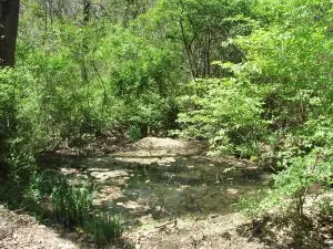 1881 May Ln, Harrison, AR 72601 photo 38