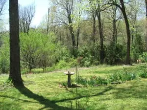 1881 May Ln, Harrison, AR 72601 photo 33