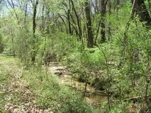 1881 May Ln, Harrison, AR 72601 photo 3