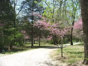 1881 May Ln, Harrison, AR 72601 photo 41