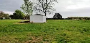 1817 Rains Rd, Harrison, AR 72601 photo 4
