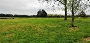 1817 Rains Rd, Harrison, AR 72601 photo 7
